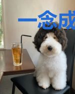 一念成婚:顾先生,狠强势