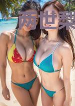两世梨花泪