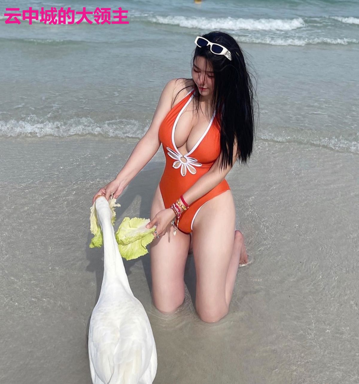 云中城的大领主