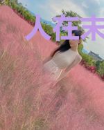 人在末世,我是航海王