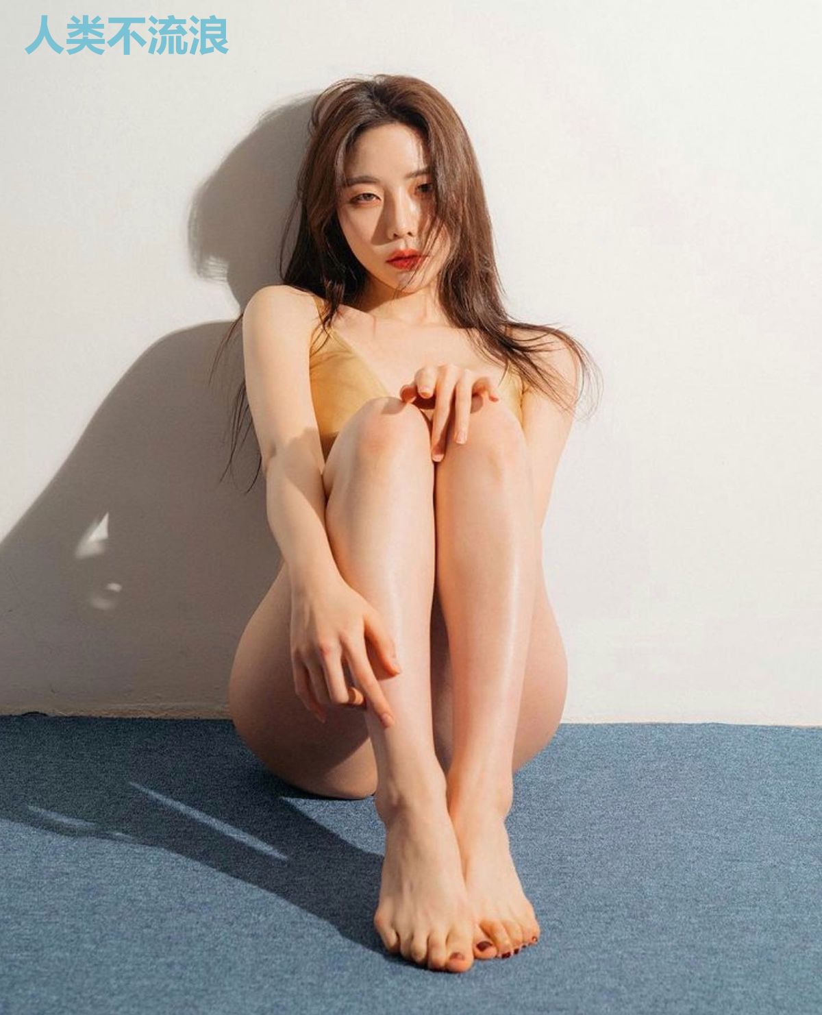 人类不流浪
