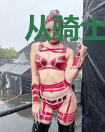 从骑士开始的诸界之旅