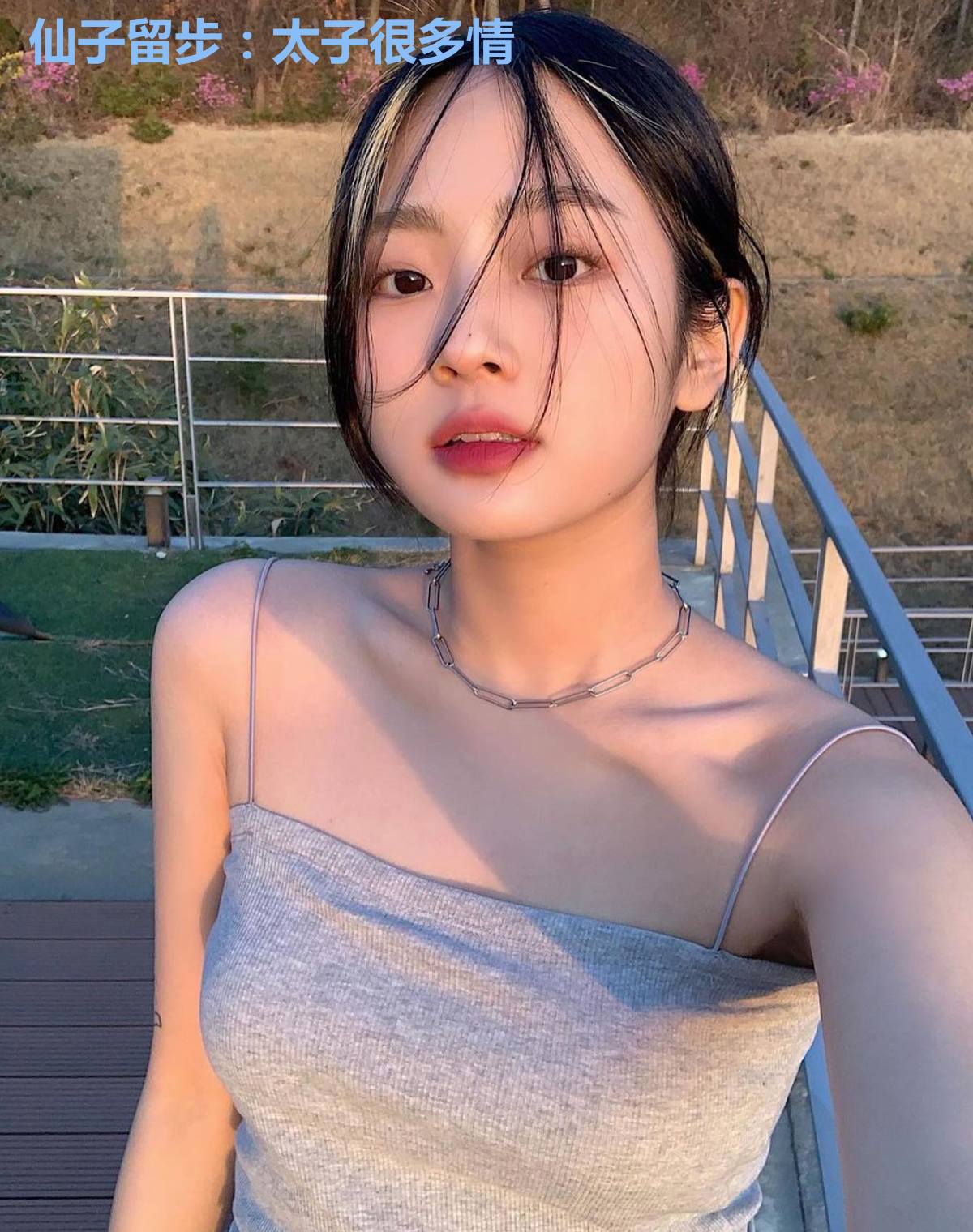 仙子留步：太子很多情