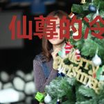 仙尊的冷艳娇妻