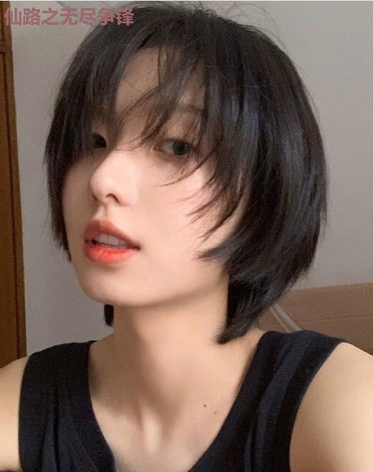 仙路之无尽争锋