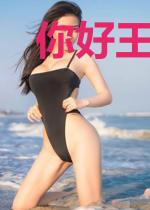 你好王妃穆九九