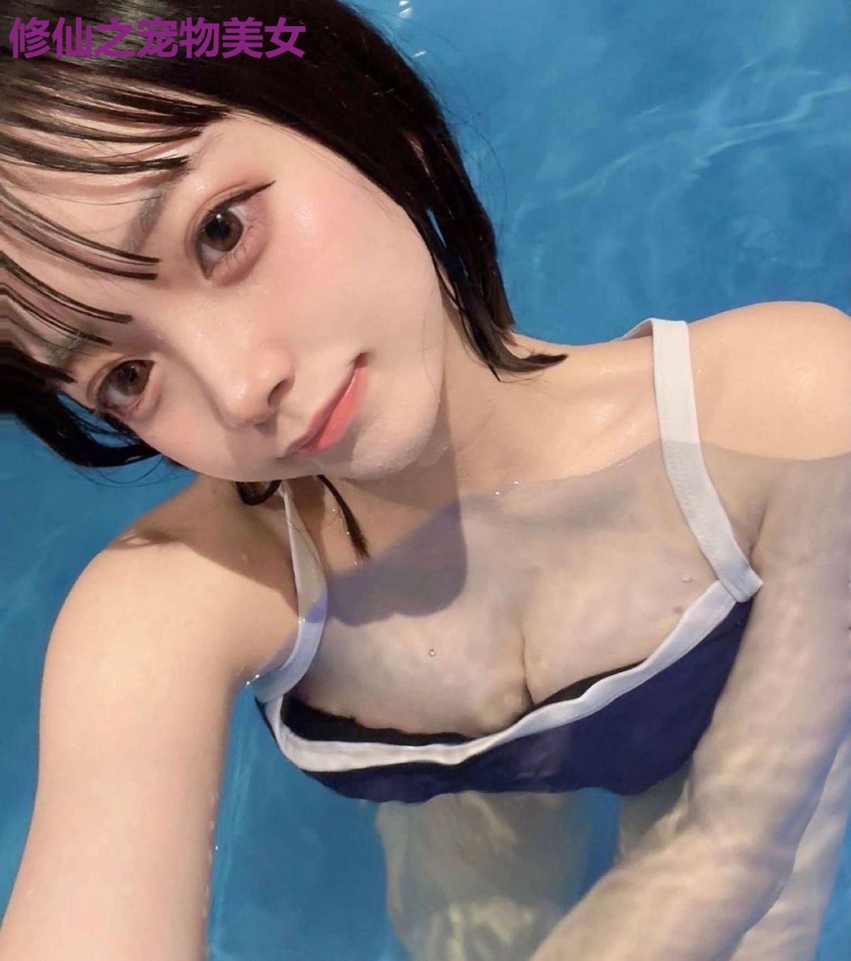 修仙之宠物美女
