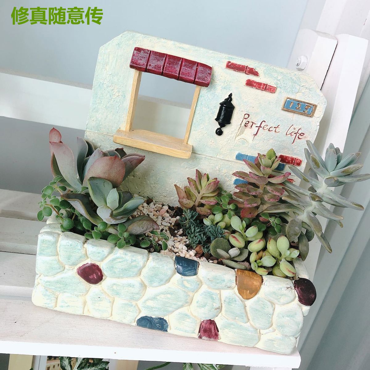 修真随意传