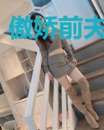 傲娇前夫求复合