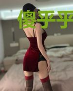 傻乎乎系统与我的最后重生