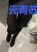 元青苏晋东