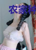 农家种田记