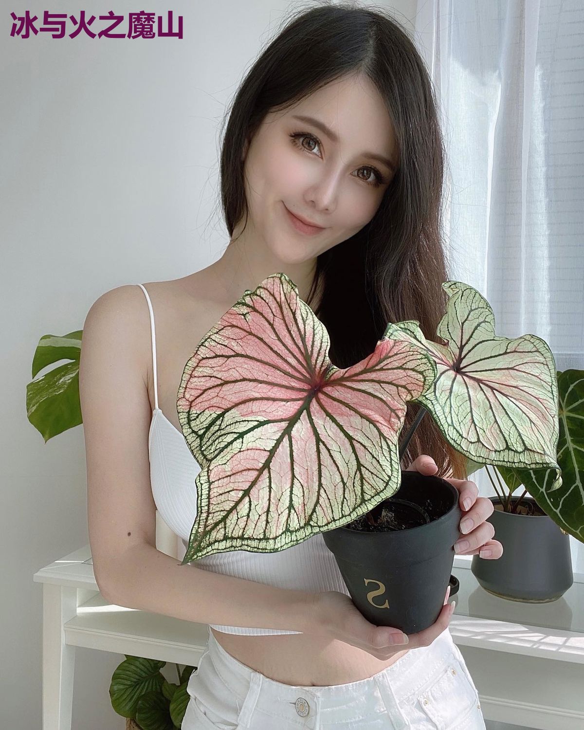 冰与火之魔山
