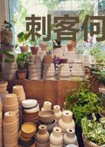 刺客何春夏