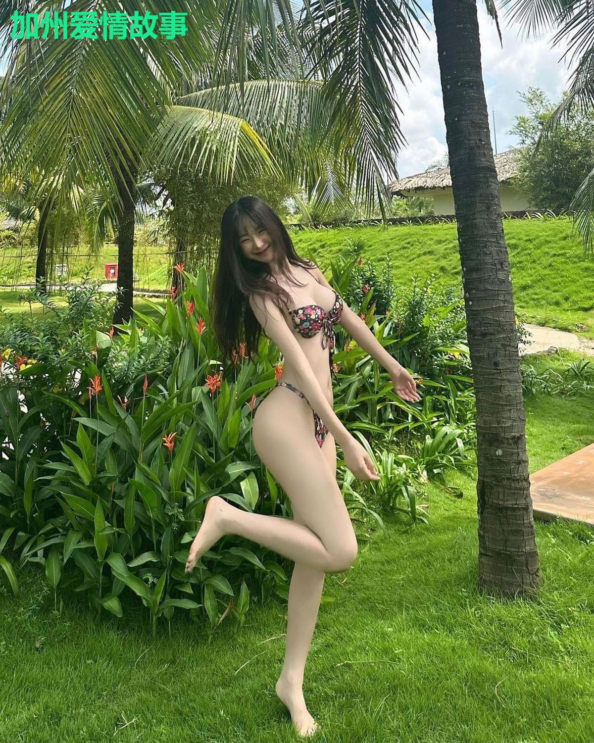 加州爱情故事