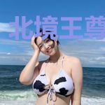 北境王尊沈飞扬