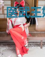 医武王婿陈峰