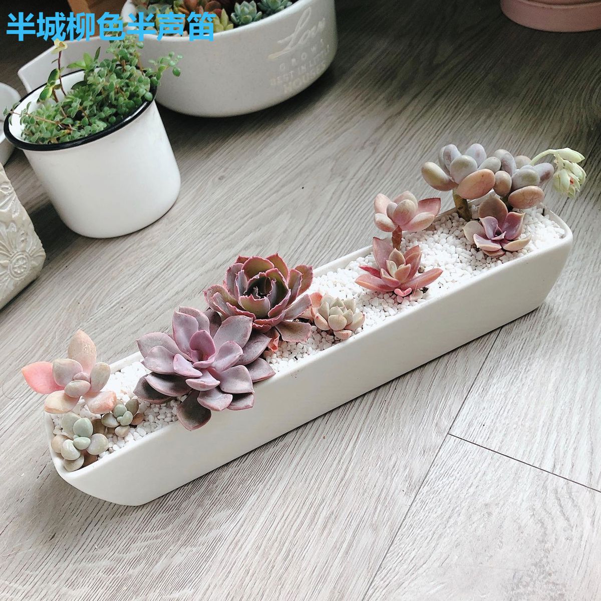 半城柳色半声笛