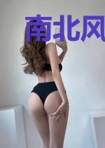 南北风云录国破山河在