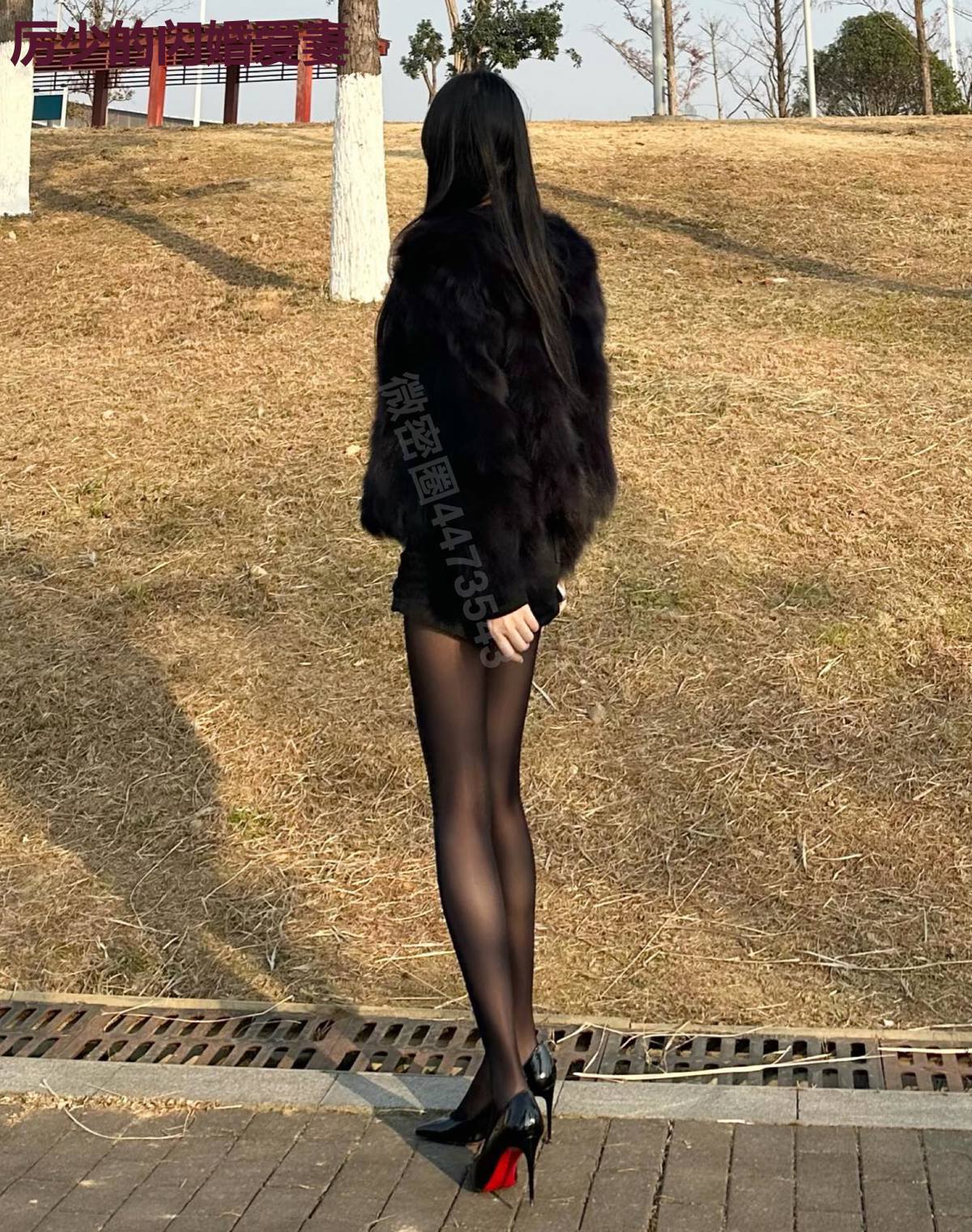 厉少的闪婚爱妻