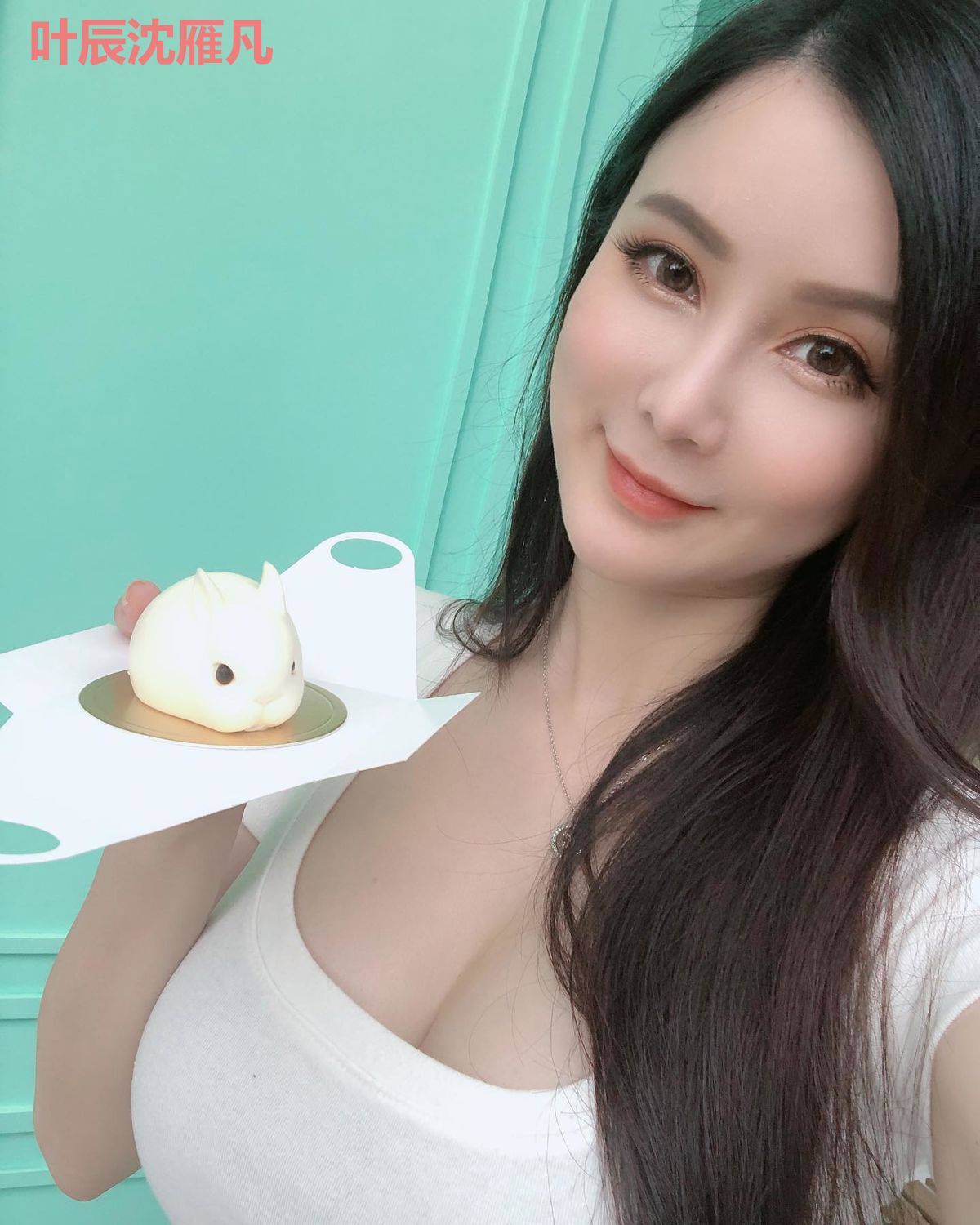 叶辰沈雁凡