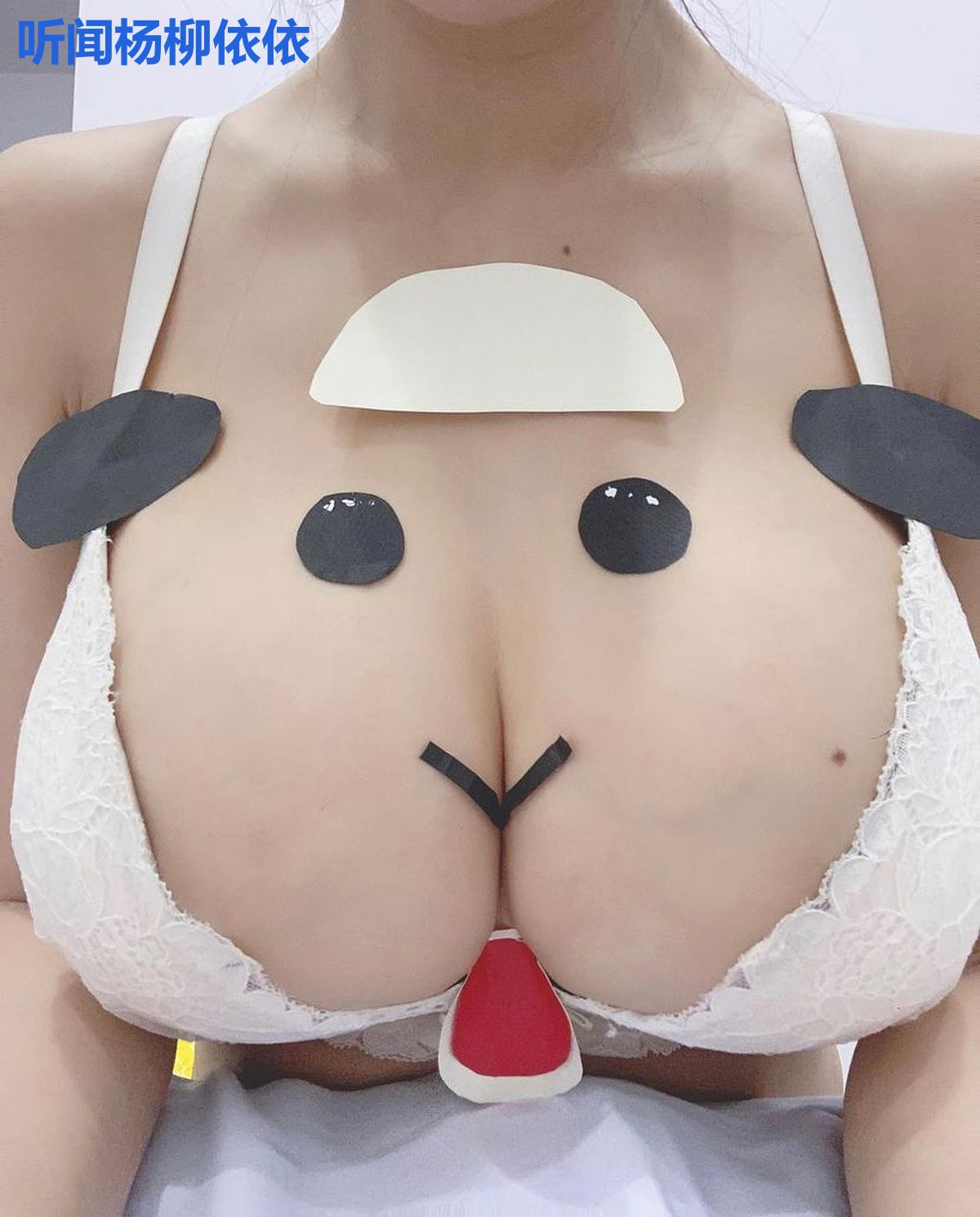 听闻杨柳依依