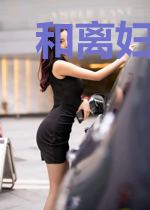 和离妇的古代奋斗日常