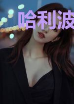 哈利波特与魔改大师
