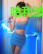 哈利波特之麻瓜的逆袭