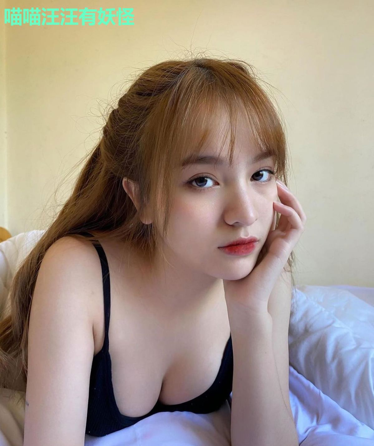 喵喵汪汪有妖怪