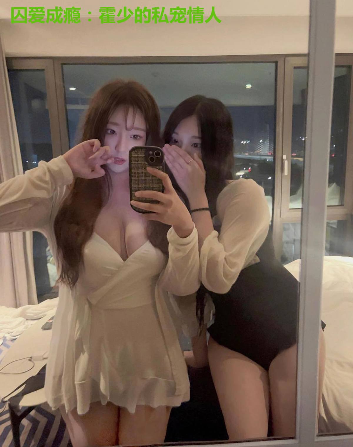 囚爱成瘾：霍少的私宠情人