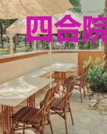 四合院:大茂将我从桥底背回后