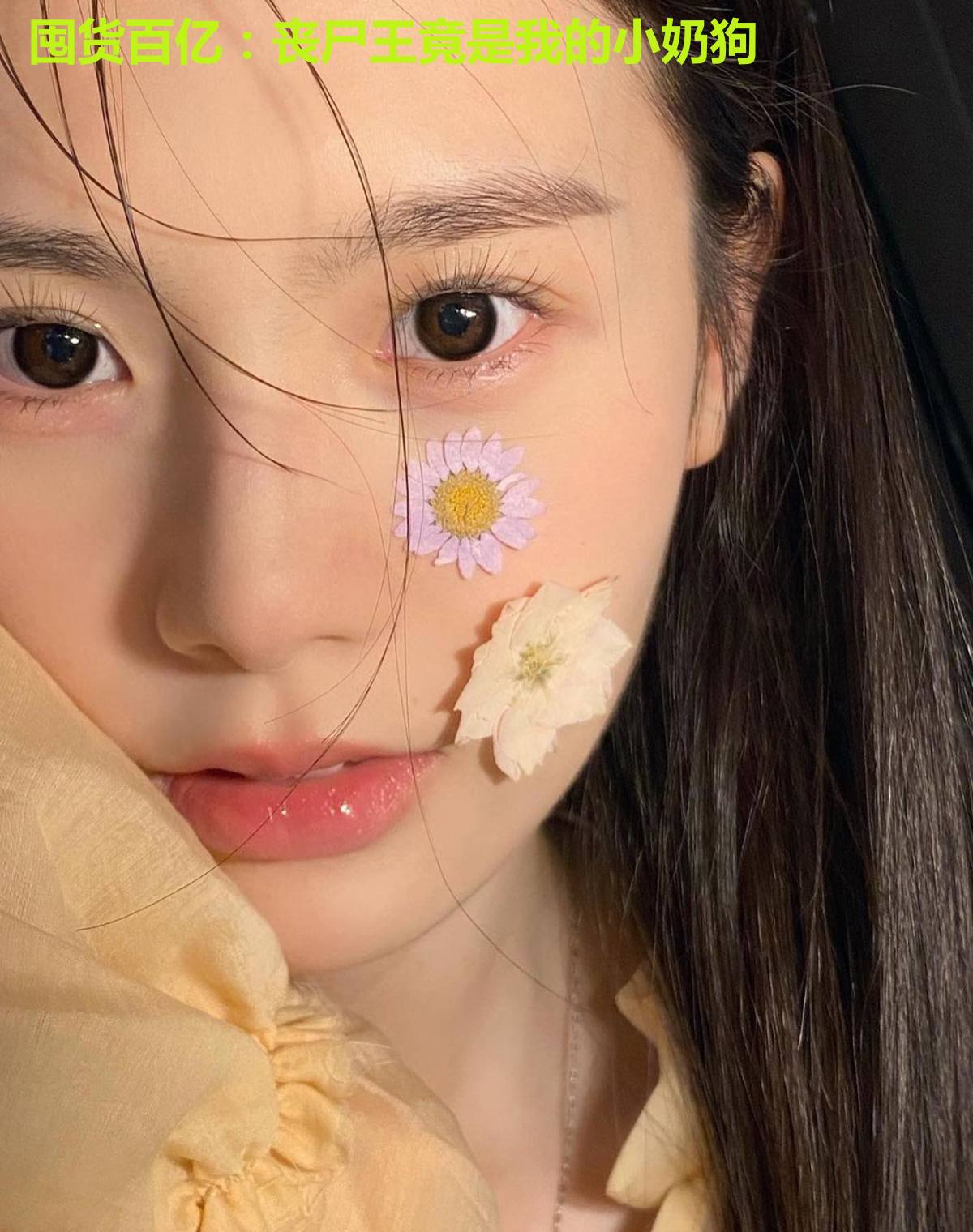 囤货百亿：丧尸王竟是我的小奶狗