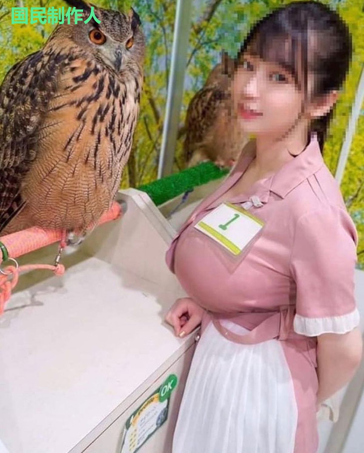 国民制作人