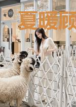 夏暖顾北淮