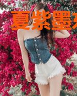 夏紫墨东方辰