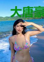 大唐豪侠列传
