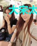 大宋太子党