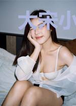 大宋小贤王