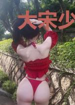 大宋少年志