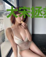 大宋拯救计划