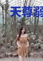 天尊溺宠小萌妃