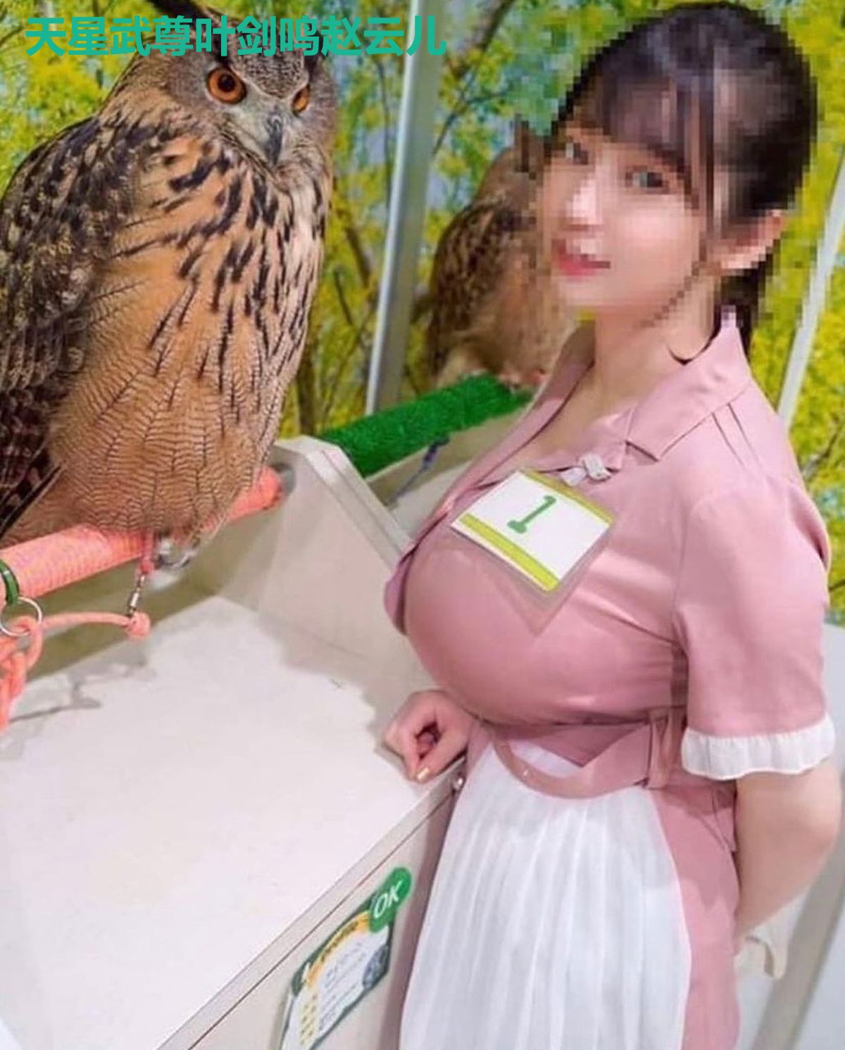 天星武尊叶剑鸣赵云儿