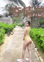 夺情总裁特工妻