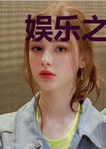 娱乐之大盗