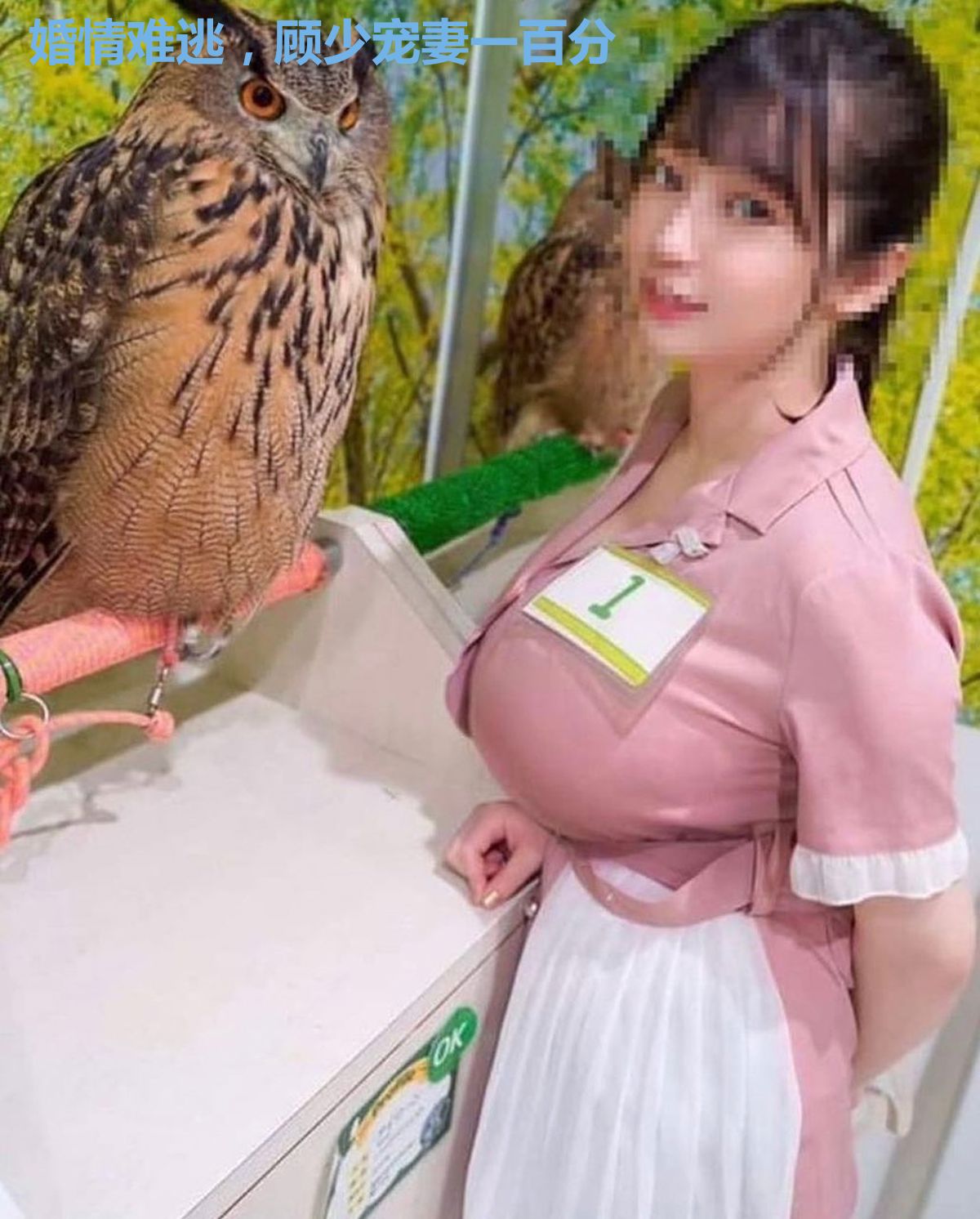 婚情难逃,顾少宠妻一百分