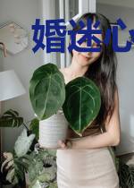 婚迷心窍,不良总裁
