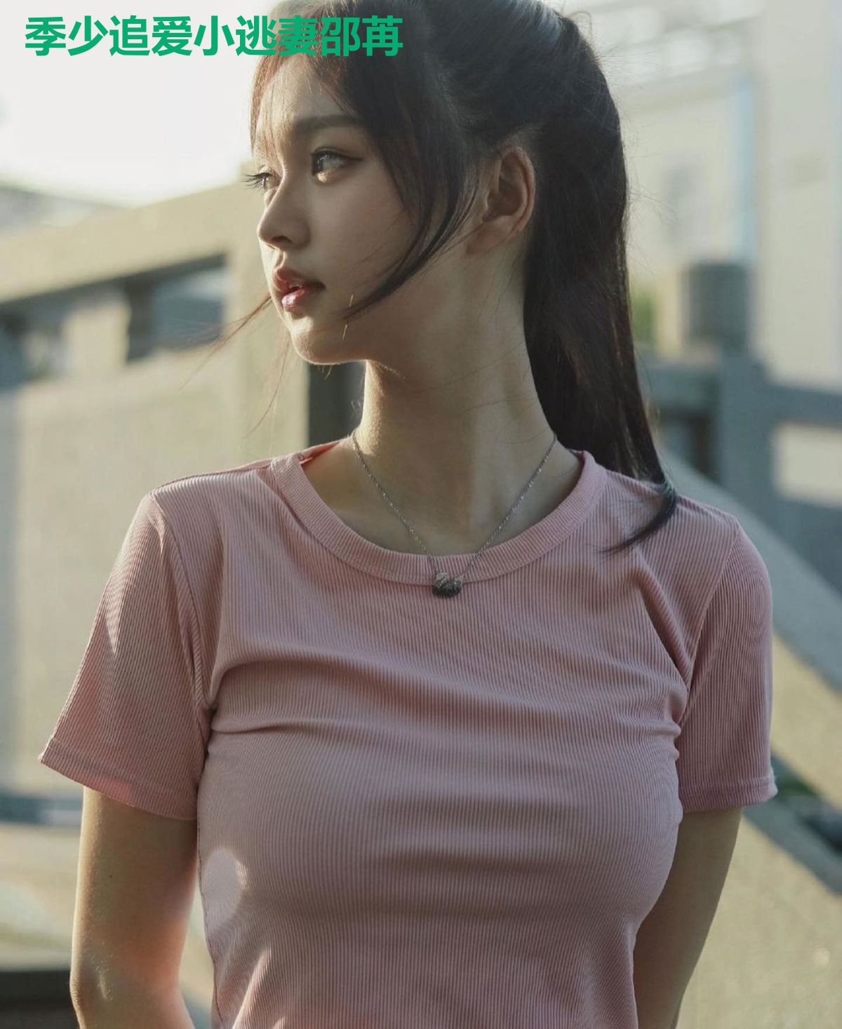 季少追爱小逃妻邵苒