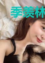 季羡林全集(第十七卷·学术论著九：比较文学与民间文学)