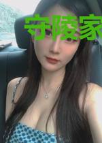 守陵家族之西北宁王